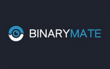 Binarymate – лохотрон или друг? Binarymate отзывы трейдеров